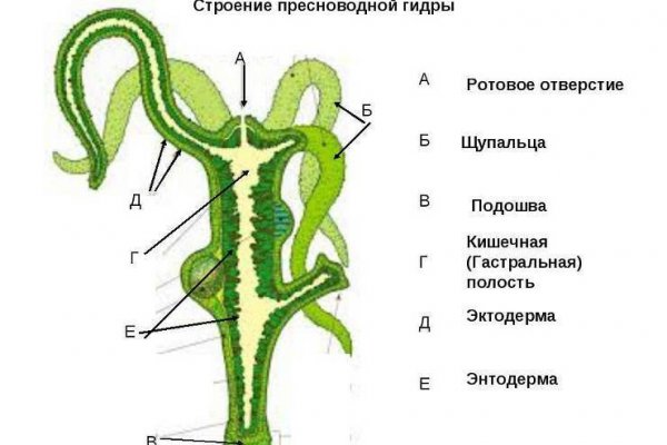 Скачать bs player с официального сайта